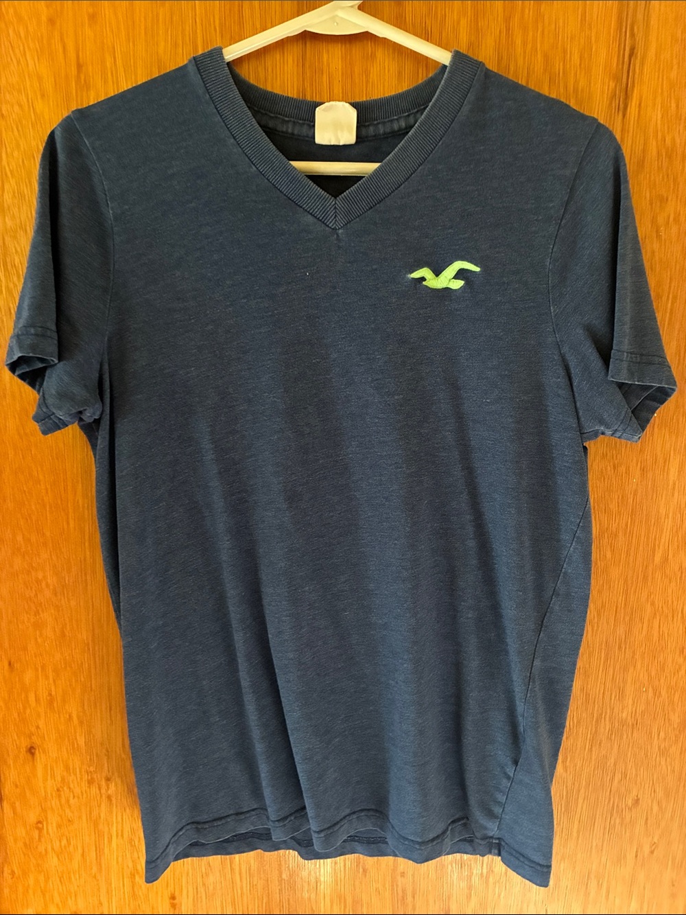 Hollister Men’s Navy V-Neck Tee with Lime Seagull Logo